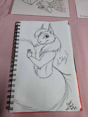 Sketch from Anthro New England 2025
