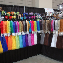 animazement2013.jpg