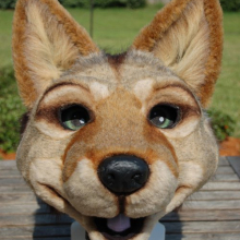 Fursuit Head (c. 2011) fursuithead.jpg