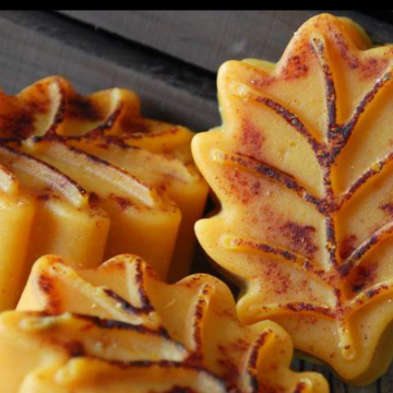 Cinnamon Pumpkin Leaf Soap Bars